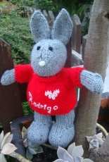 Bunnie for a little boy!
