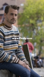 Hallandsgade Sweater by Sanne Bjerregaard (Fjalland) - English Danish German - Free