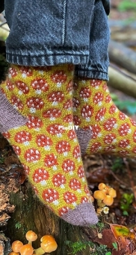 Magical Mycelium socks by Stone Knits - English