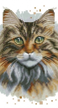 Banani Stitchery - Watercolor Norwegian Forest Cat by Anna Banani XSD