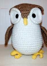 Little Owl