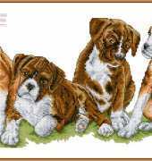Anchor - Playful Puppies from Cross Stitch Collection 241 XSD