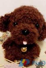 Zither sun - candy dog - Chinese