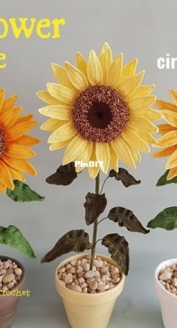Pippa Patterns - Connie Rockliff - Sunflower