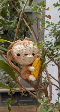 Monkey