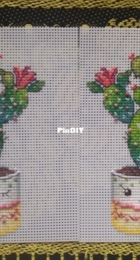 Spin Cactus - M.P. Studio Firebird