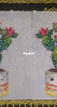 Spin Cactus - M.P. Studio Firebird