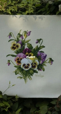 Pansies of Lansvit