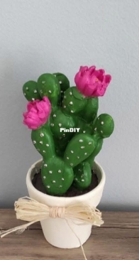 Cactus deko