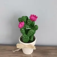 Cactus deko