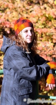 Flight of the phoenix Hat & Handwarmer by Louise Robert for Biscotte Yarns Free
