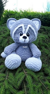Raccoon