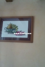Bodegón de frutas