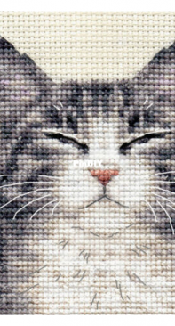 Fido Stitch Studio - Grey Tabby Cat, Kitten