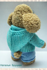 Natalya Brutskaya - Blouse with a hood knitting needles - Russian