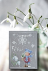 Martine Rigeade 966 Frimas XSD + PCS