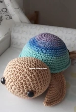 the turtle