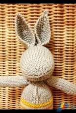 Bunny