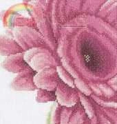 Lanarte 35053 Close up pink flower