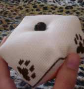 My biscornu