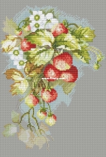 Strawberries by Alisa Okneas - Free