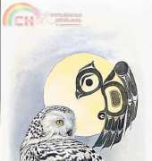 The Stitching Studio Snowy Owl by Sue Coleman