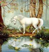 HAED HAERS1008 Unicorn Forest - Ruth Sanderson