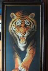 Bulgarian tiger