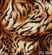 Golden Kite GK633 Amazones