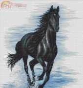 Luca-S BM3007 - Black Horse