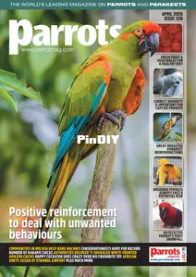 Parrots Magazine - Issue 339 - April 2026