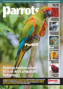 Parrots Magazine - Issue 339 - April 2026
