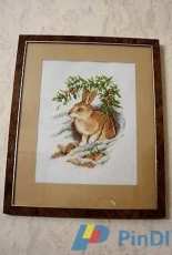 Le lapin dans la neige