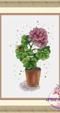 Idyll- Geranium by Maria Dugaleva