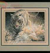 Dimensions 35108 White Lightning