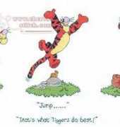 Designer Stitches D133 - Thats What Tiggers Do Best