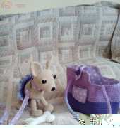 little dog