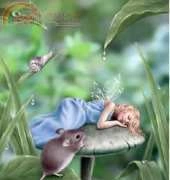 HAE  HAERA589 Sweet Dreams by Rachel Anderson