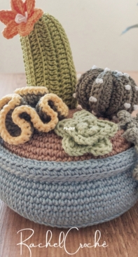 Rachel Crochê - Rachel Muylaert - Growing and Blooming Cactus - Crescendo e Florescendo Cactos - Portuguese