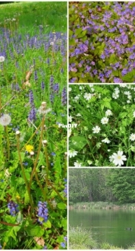 My hiking photos 4