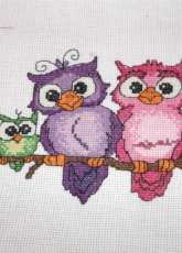 Owls I