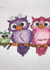 Owls I