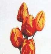 The Silver Lining SL123 - Rembrandt Tulips