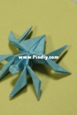spider paper