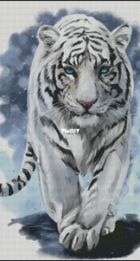 Tiger by Tatiana Kholodenko
