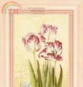 FIORI 41