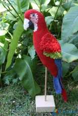 CAROcreated design - Carola Herbst - Red Parrot - French- Translated