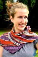 Vantage Points Shawl by Linda Wilgus/  Woolly Mammoth Knits