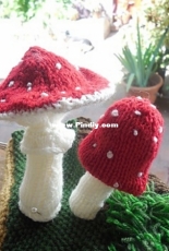 Mushrooms