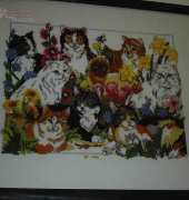 Cats